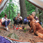 Trailtopia Hearty Pesto Chicken Pasta- Freeze Dried Hiking Dinner | Delicious Taste | Quick & Easy Prep | Lightweight | Perfect For Camping & Backpacking | High Energy Meals For Outdoor Adventures