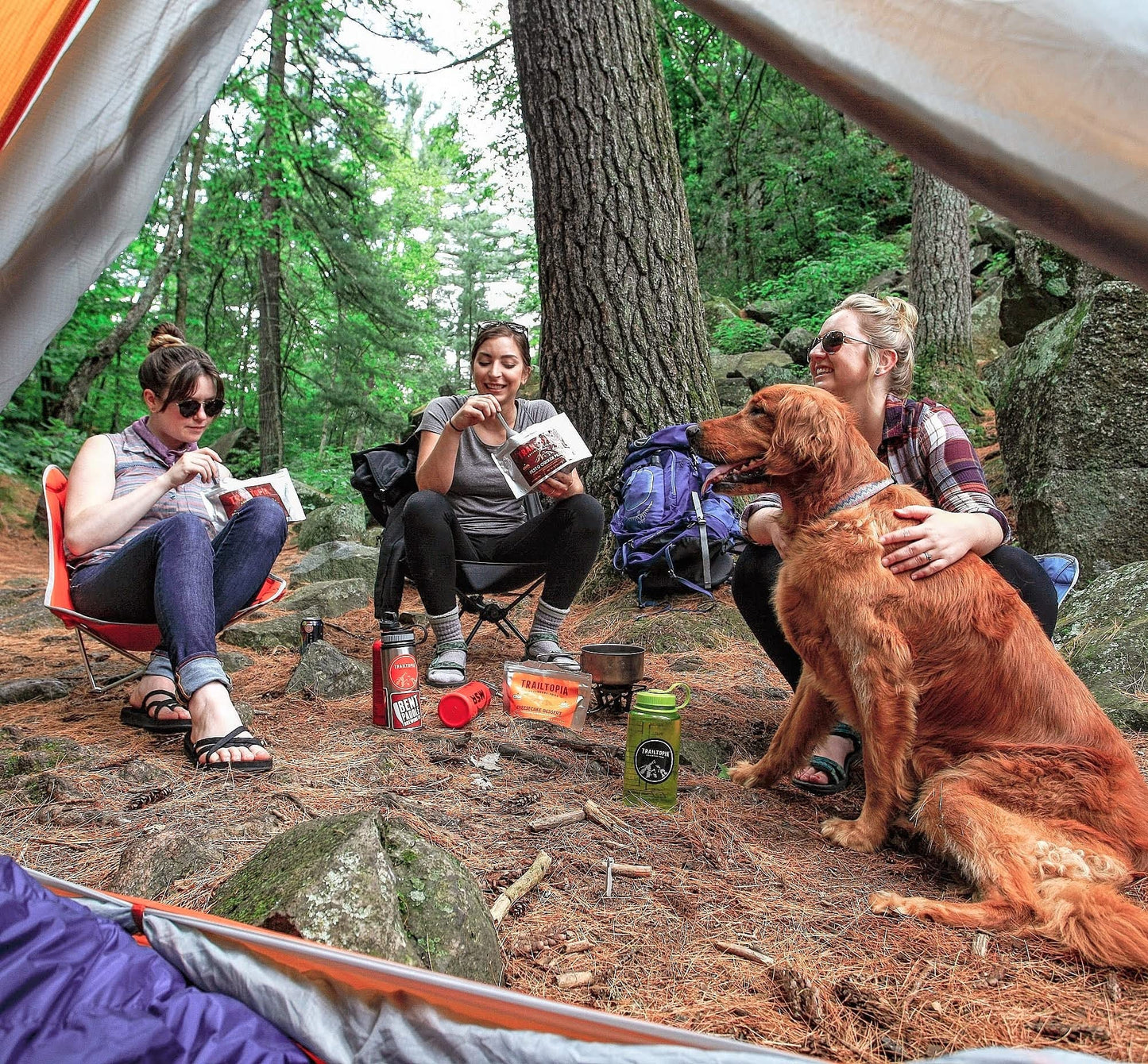 Trailtopia Hearty Pesto Chicken Pasta- Freeze Dried Hiking Dinner | Delicious Taste | Quick & Easy Prep | Lightweight | Perfect For Camping & Backpacking | High Energy Meals For Outdoor Adventures