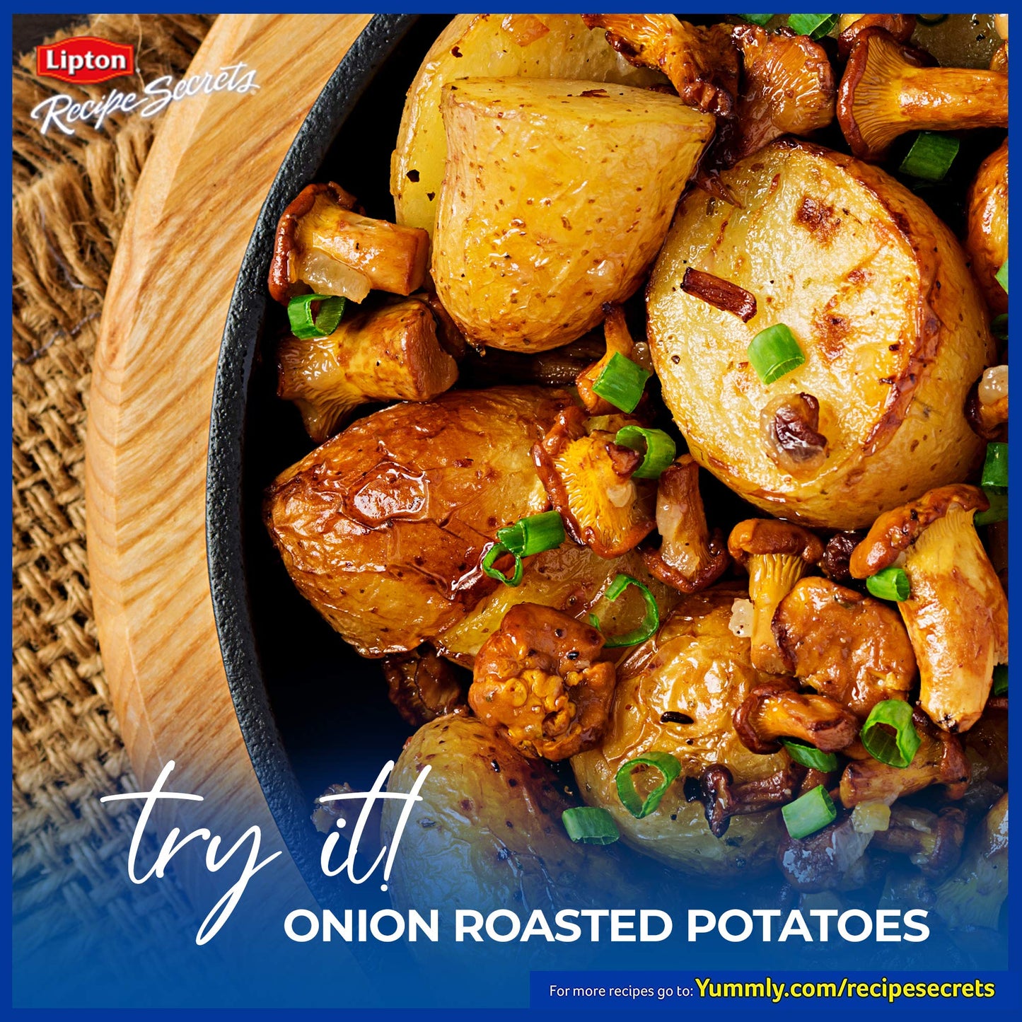 Lipton Recipe Secrets Recipe Mix, Onion, 2 oz