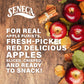 Seneca Cinnamon Apple Chips | Made From Fresh Apples | 100% Red Delicious Apples | Yakima Valley Orchards | Real Cinnamon | Cris