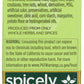 Spicely Organic Cumin Seeds Whole 0.50 Ounce Ecobox Certified Gluten Free