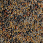 No-Till Cover Crop 13-Seed Mix: 50% Clovers Plus Fenugreek, Vetch, Flax, Cowpeas, Buckwheat, Forage Peas, Millet, Lentils (5-lb.