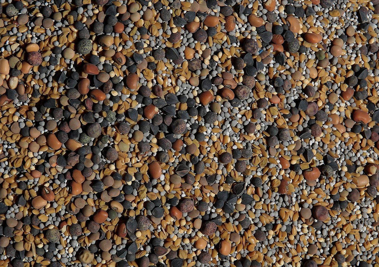 No-Till Cover Crop 13-Seed Mix: 50% Clovers Plus Fenugreek, Vetch, Flax, Cowpeas, Buckwheat, Forage Peas, Millet, Lentils (5-lb.