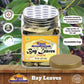 Rani Bay Leaf (Leaves) Whole Spice Hand Selected Extra Large 1.4Oz (40G) Pet Jar ~ All Natural | Gluten Friendly | Non-Gmo | Kosher | Vegan | Indian Origin (Tej Patta)