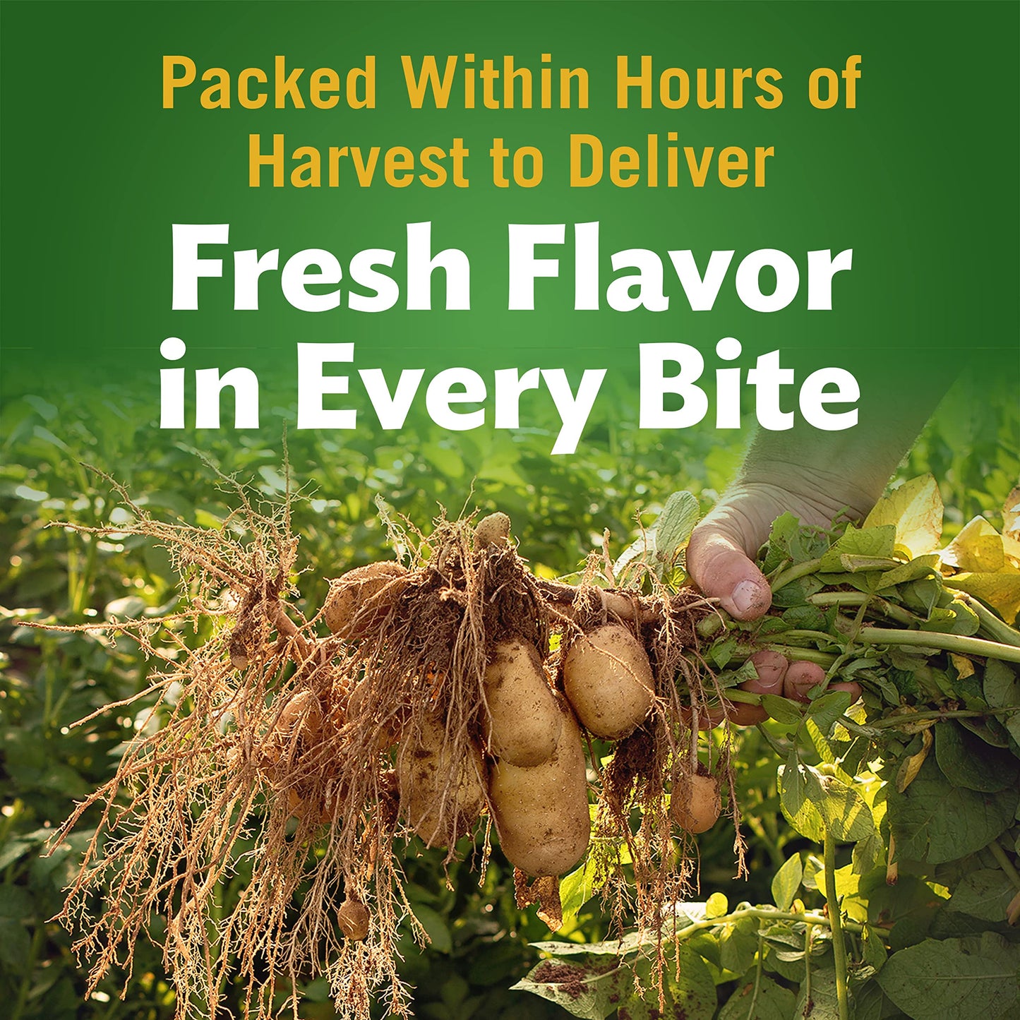 Del Monte Fresh Cut Diced Canned Potatoes, Canned Vegetables, 12 Pack, 14.5 Oz Can