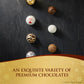 Ferrero Rocher Grand Assortment, Premium Gourmet Chocolates, 24 Count, Hazelnut, Milk, Dark, Cappuccino, Manderly, Coconut