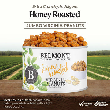 Belmont Peanuts Gourmet Honey Roasted Peanuts, 25 oz, 8 Simple Ingredients, No Preservatives, 6g Protein Snack