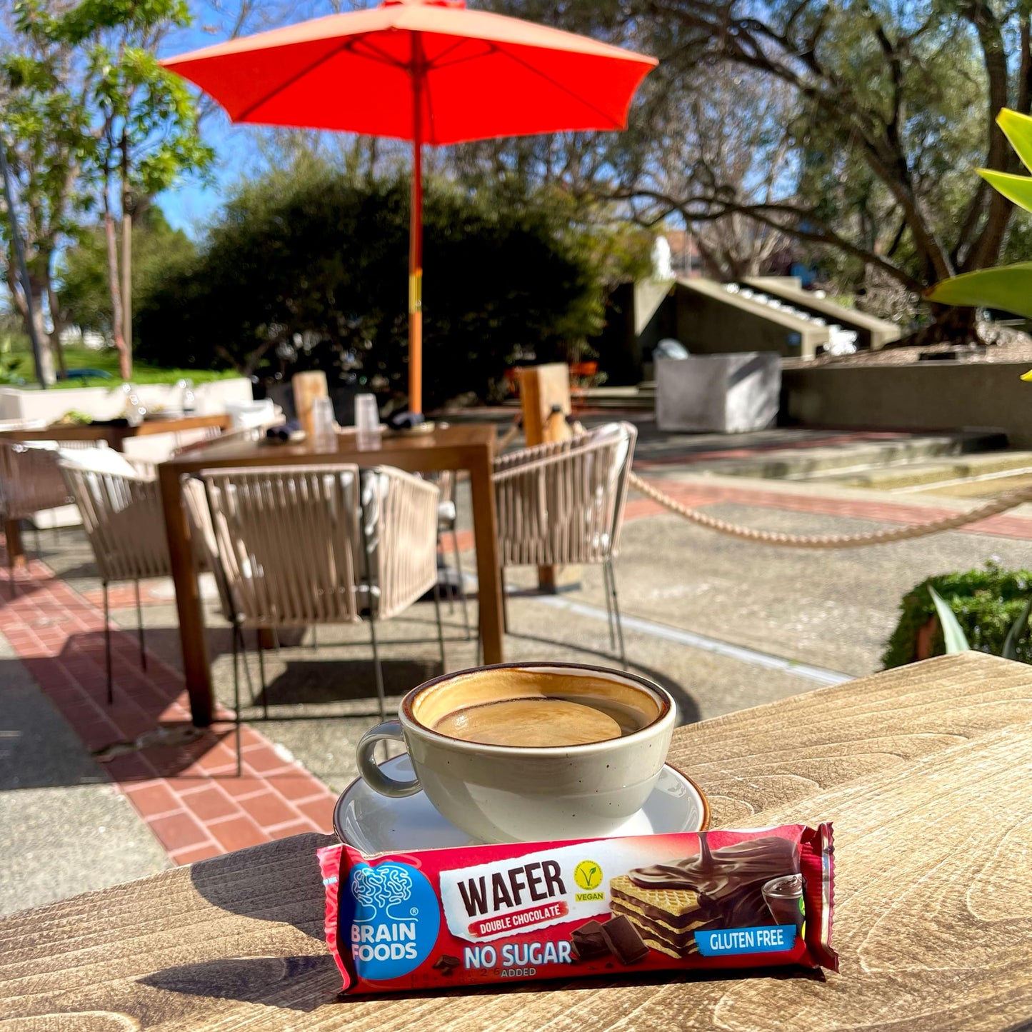 BRAIN FOODS Gluten Free Vegan Double Chocolate Wafers - 12 Bars, No Sugar Added, High Fiber, No Palm Oil, 1.4 oz, 170 Calories,