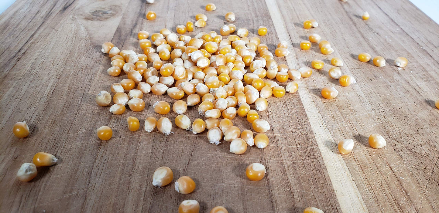 Princeton Popcorn Mushroom Kernels - Non-GMO Gluten Free - 50lb Bag (800 Ounce)