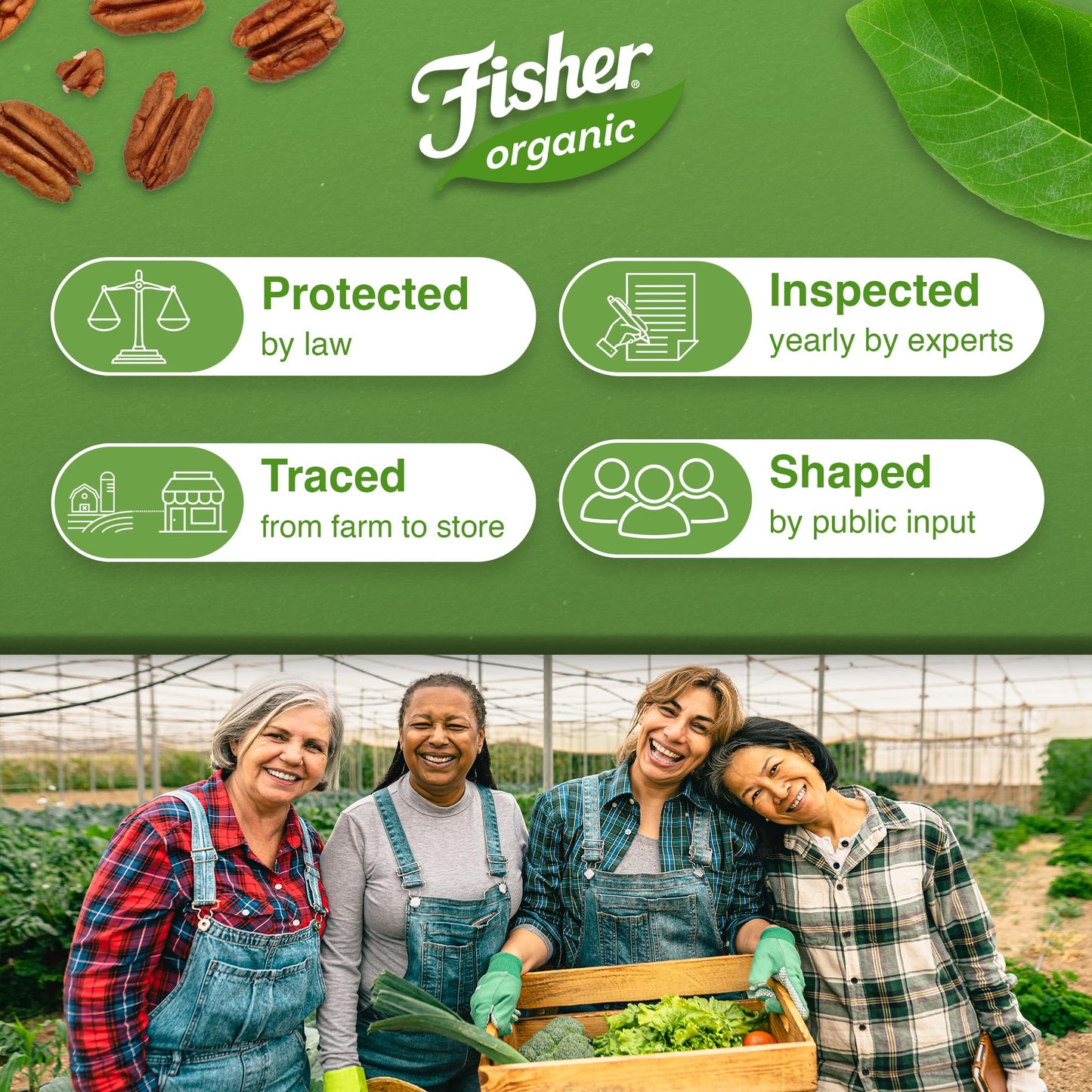 Fisher Organic Pecans Halves 16 oz  USDA Certified Organic  Unsalted Raw Pecans  North American Grown  Non-GMO  No Preservatives  Keto & Paleo Friendly  Heathy Snack for mature-themeds  Resealable Bag
