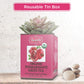 Brew La La Organic Green Tea - Pomegranate Flavor - 50 Tea Bags - Low Caffeine - USDA Certified Organic