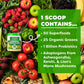 Orgain Supreme Greens Powder, 25 Organic Greens & 50 Superfoods, Vegan, 8.48 Oz, Gut Health & Immune Support, Lemon Twist Flavor