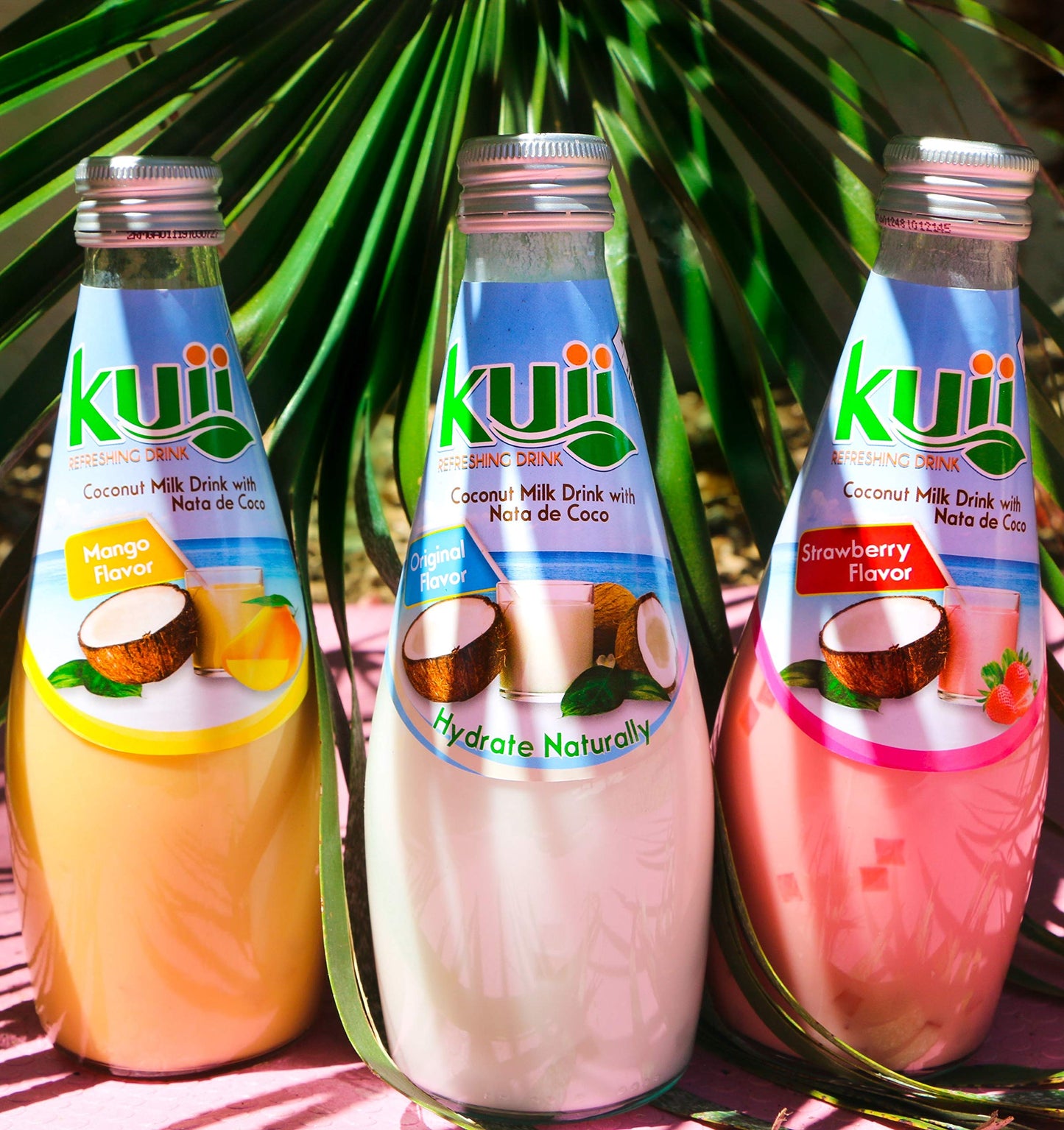 Coconut Milk Drink Original (Mango) 9.8FL OZ (Pack of 12)