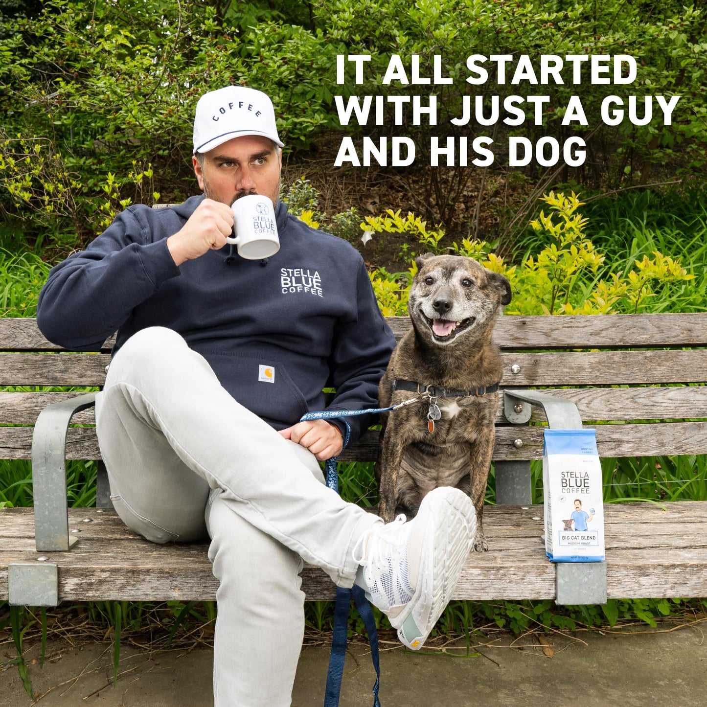 Stella Blue Cold Brew Coffee Bags  Cinnamon Sugar Donut  Medium Roast Ground Coffee  Smooth  Bold and Refreshing 100% Arabica  6 Brew Packets  Makes 24 Cups  Rainforest Alliance Certified