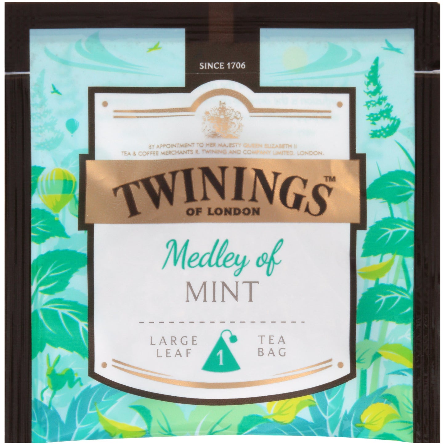 Twinings Discovery Collection Medley Of Mint, 30 Large Leaf Pyramid Tea Bags