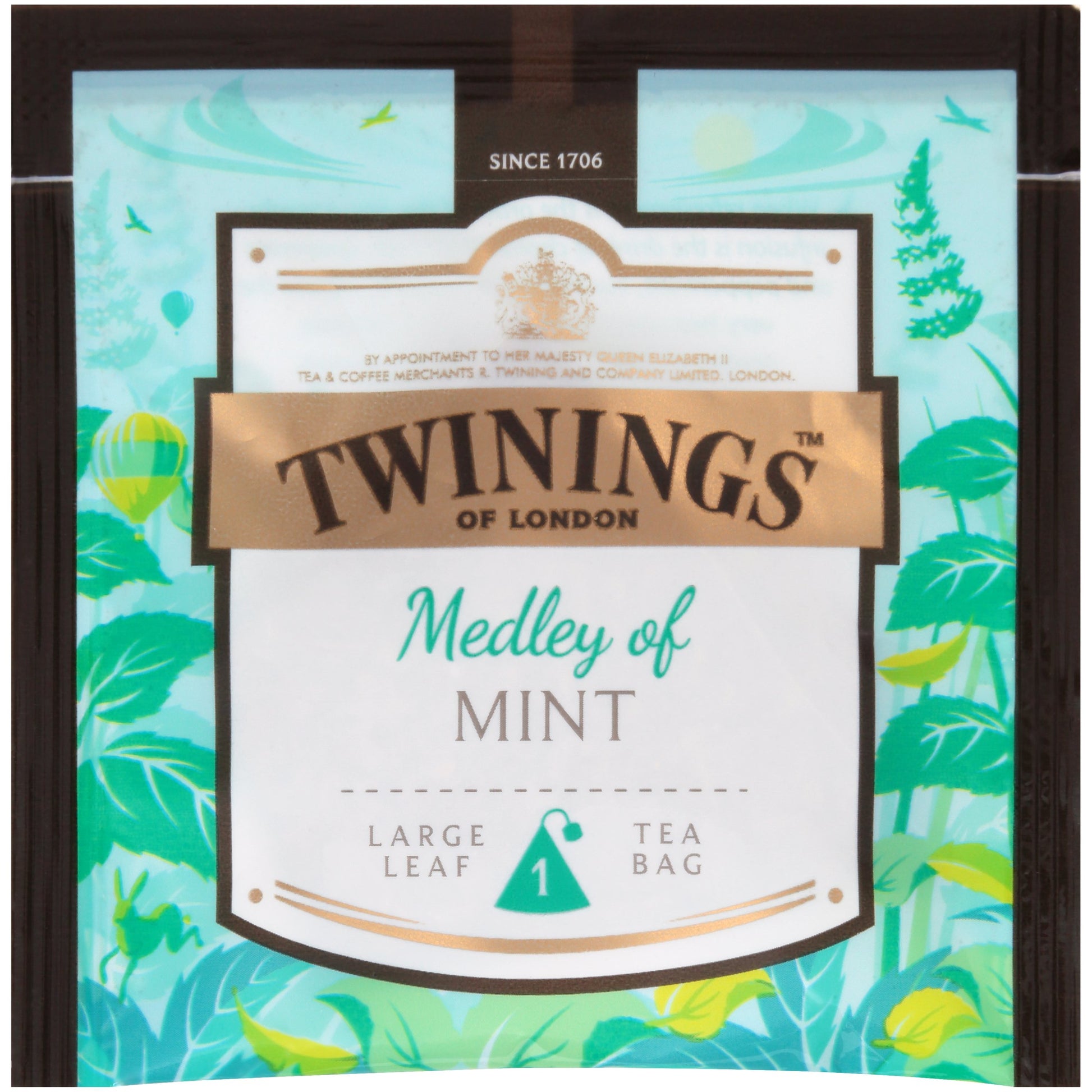 Twinings Discovery Collection Medley Of Mint, 30 Large Leaf Pyramid Tea Bags