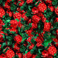 Strawberry Bon Bons Hard Candy | 2 Pound Bag Bulk, About 150 Pieces | Old-Fashioned Sweets