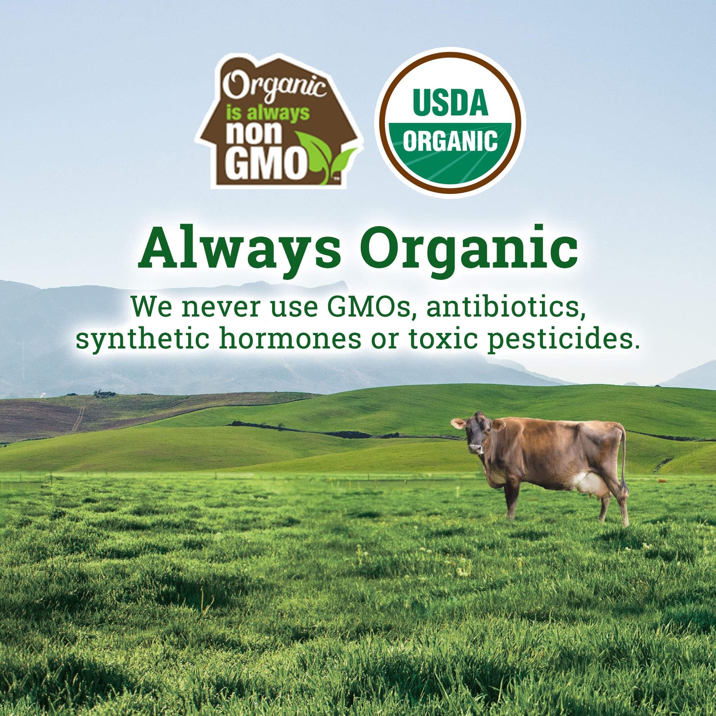 Organic Valley Organic Cream Cheese Block