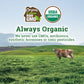Organic Valley Organic Regular Sour Cream, 16 Oz