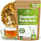 WILDFIELD HERBS Shepherds Purse Herb Bulk Herbal Tea - 1.8 oz (50g)