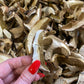 Wild Dried Porcini Mushrooms - Boletus Edulis, 3 Oz.