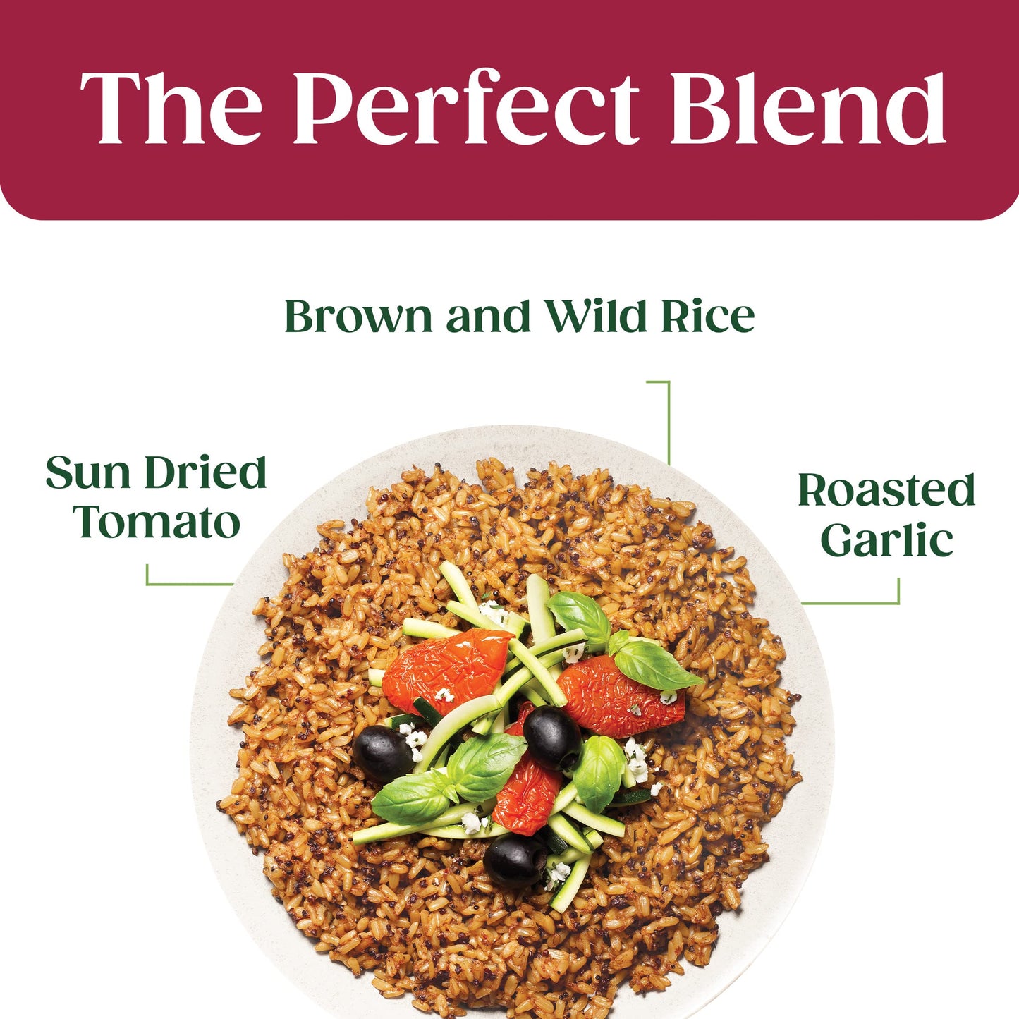 Seeds Of Change Organic Brown & Wild Rice with Tomato & Roasted Garlic, Good Source of Fiber, No Artificial Ingredients or Prese