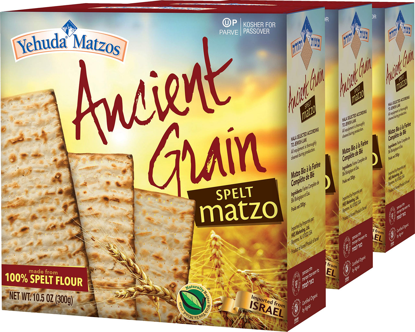Yehuda Spelt Matzo, 1lb (3 Pack) | Kosher for Passover Matzo