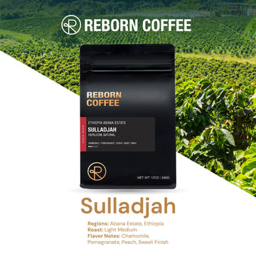Reborn Coffee Specialty Whole Bean Coffee, Medium Roast, 12 Ounce, Ethiopia Abana Estate, Flavor Notes: Chamomile, Pomegranate, Peach