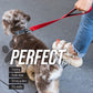 Leashboss Short Dog Leash For Dog Training  Padded Traffic Handle Short Leash For Dog Training, Total Comfort When Dog Walking