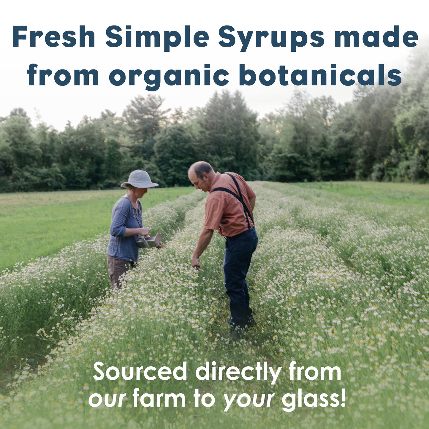 Bluestem Botanicals Organic Triple Mint Simple Syrup, 8 oz, Non-  ic Cocktail and Mocktail Mixer