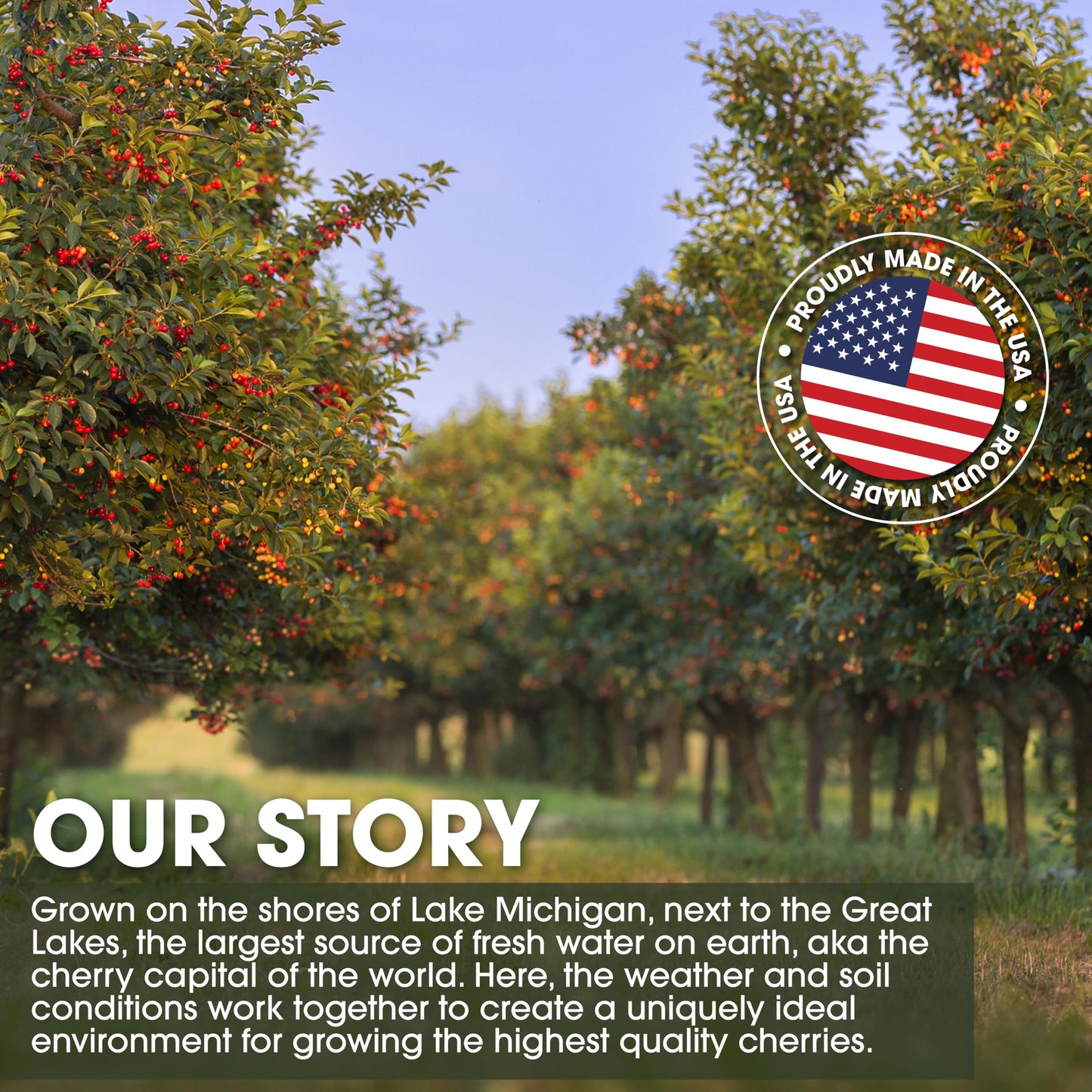 Cherry Bay Orchards Tart Cherry Juice (6 Pack 64 oz Bottle  384 oz Total) - 100% Natural Cherry Juice Not From Concentrate - Boosts Immunity - No Added Sugar