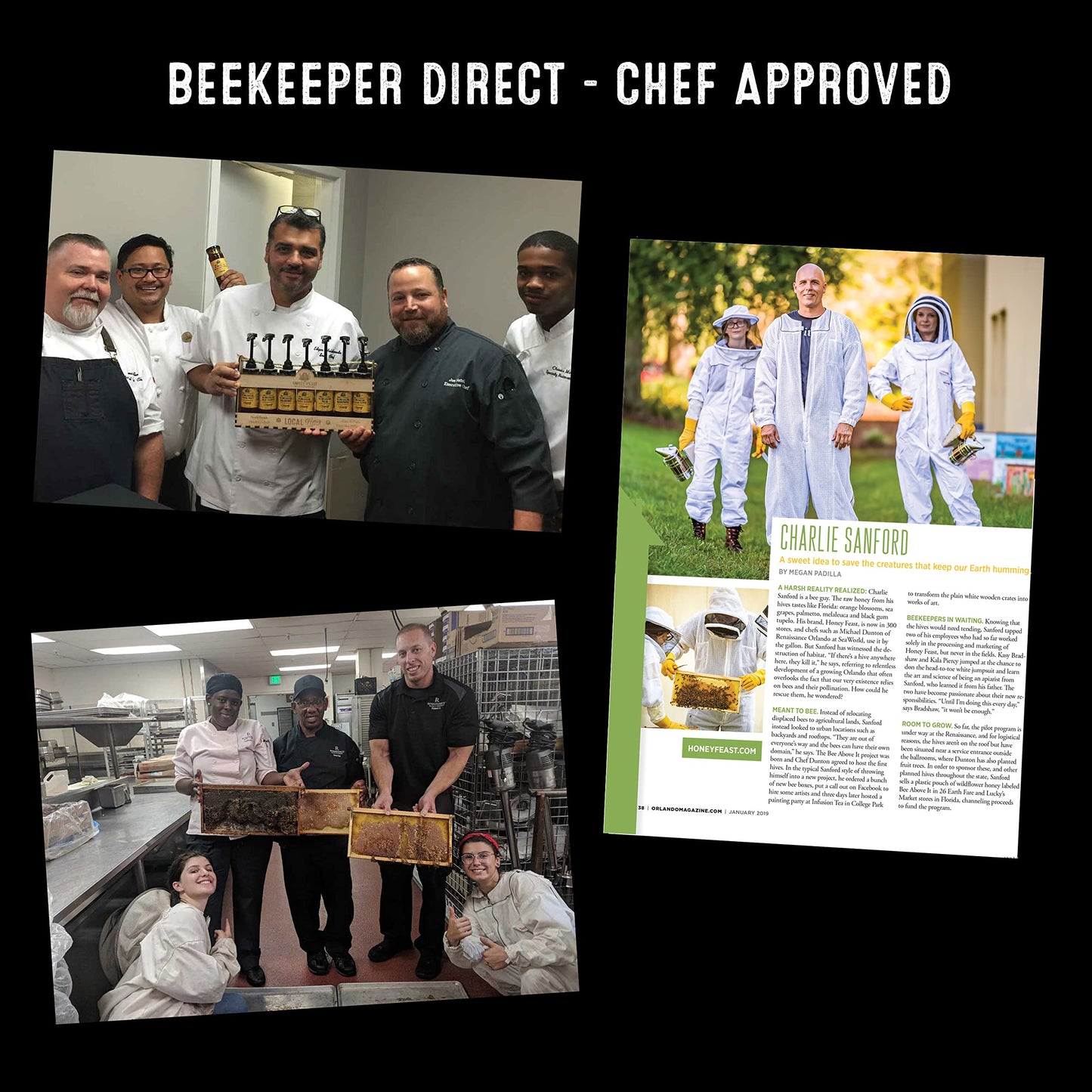 Honey Feast Propolis & Manuka Infused Raw Honey, 2 Gallon Bulk, MGO182, protected design Pending Formula