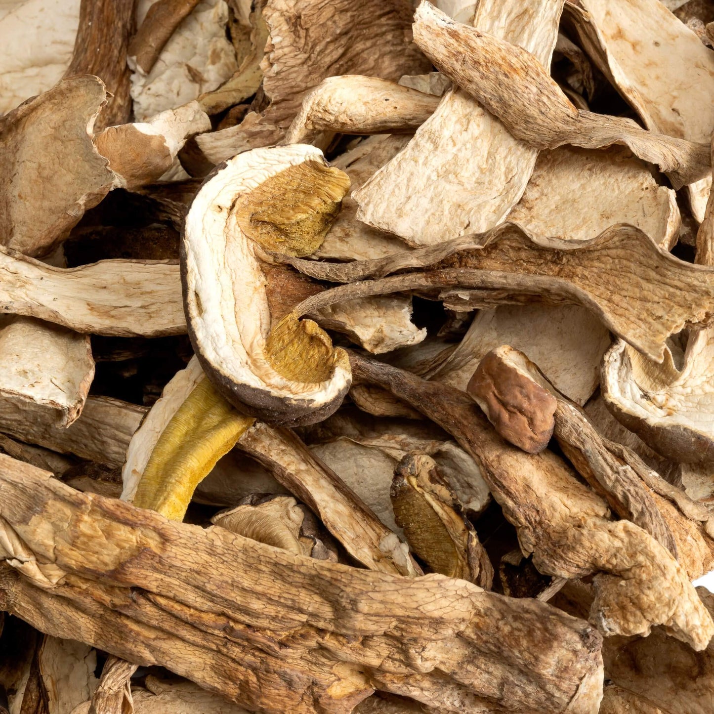 Slofoodgroup Dried Porcini Mushrooms Gourmet Boletus Edulis Grade A - 8Oz