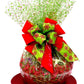 Gifts of Gourmet Hand-Crafted 22 Piece Chocolate Gift Basket - Gourmet Treats, Standard Size, Holly and Berry Color