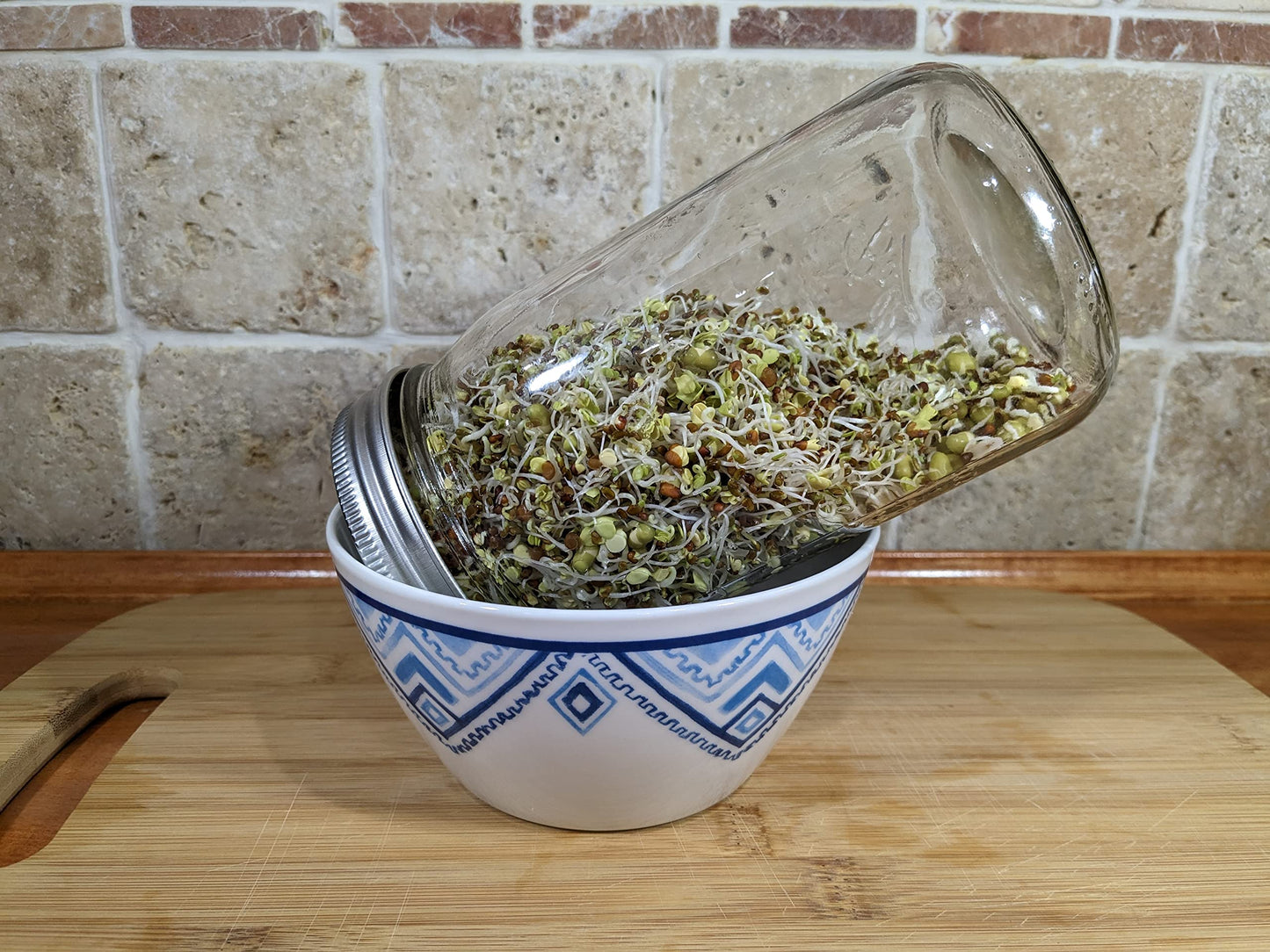 Variety Pack Sprouting Seeds Broccoli, Alfalfa, Radish, Mung Beans & Salad Mix For Sprouts And Microgreens. Non-Gmo. Pack Of 10