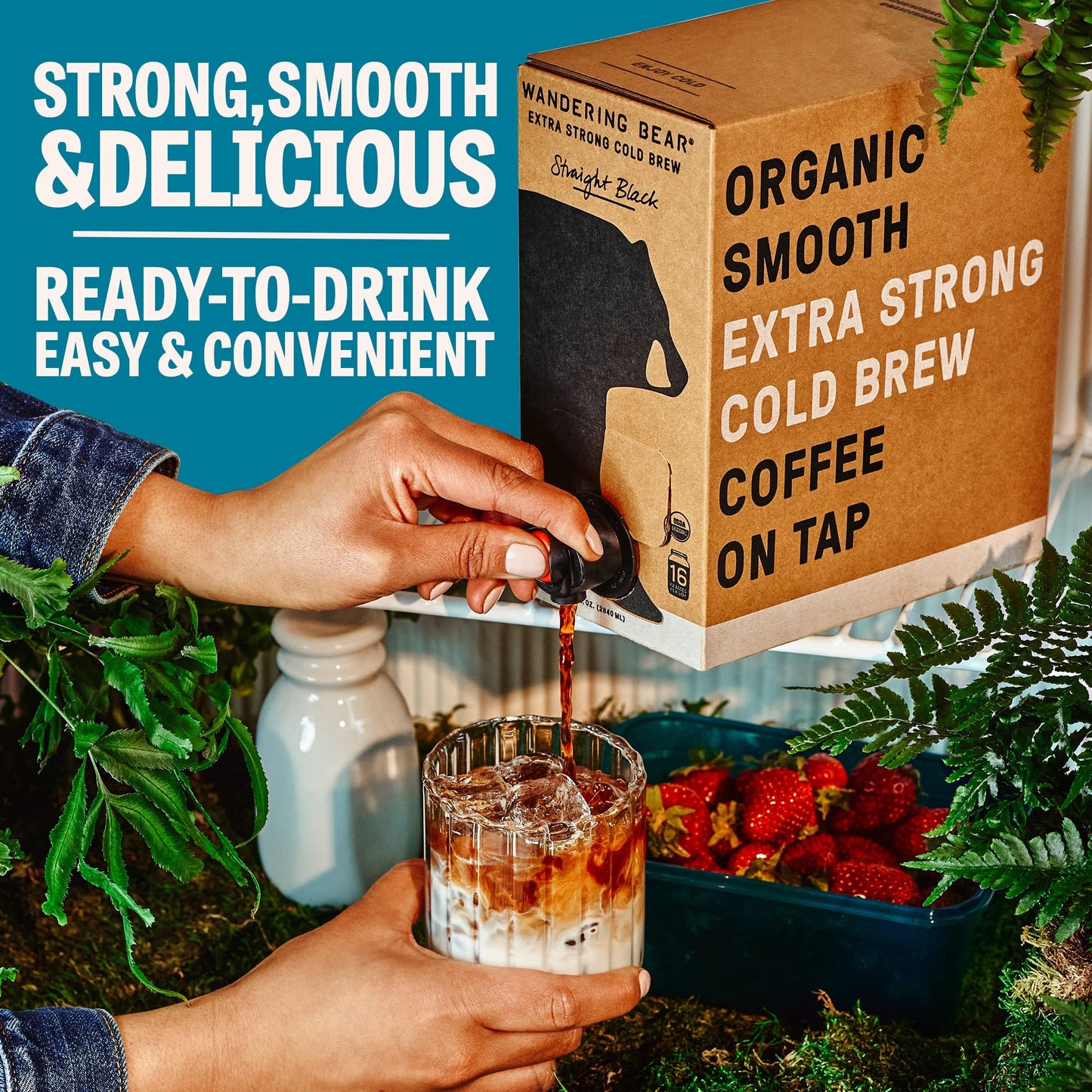 Wandering Bear Organic Vanilla Cold Brew Coffee On Tap, 96 Fl Oz - Extra Strong, Smooth, Unsweetened, Shelf-Stable, And Ready To