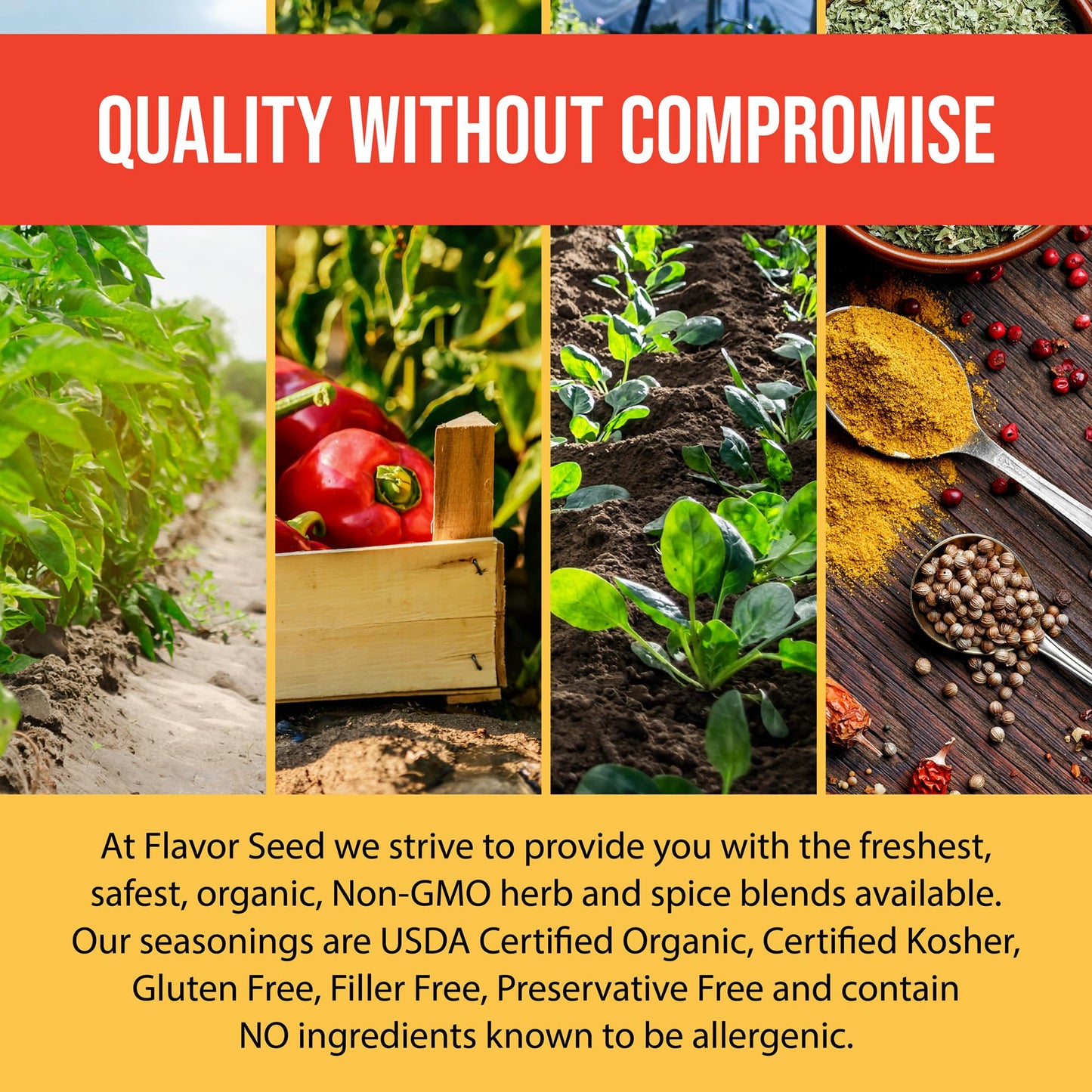 Flavor Seed Rock Yo Taco Organic Taco Seasoning Mix. Mexican Seasoning. Popcorn Seasoning. Seasonings And Spices For Cooking, Gl