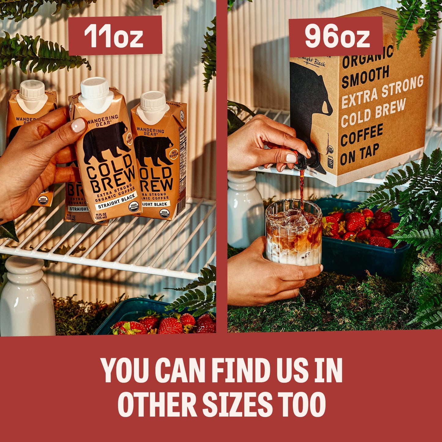 Wandering Bear Organic Mocha Cold Brew Coffee  32 fl oz  6 pack - Extra Strong  Bold  Smooth  Unsweetened  Shelf-Stable  Ready to Drink  Gluten Free  & Vegan  Iced Cold Brewed Coffee Drinks