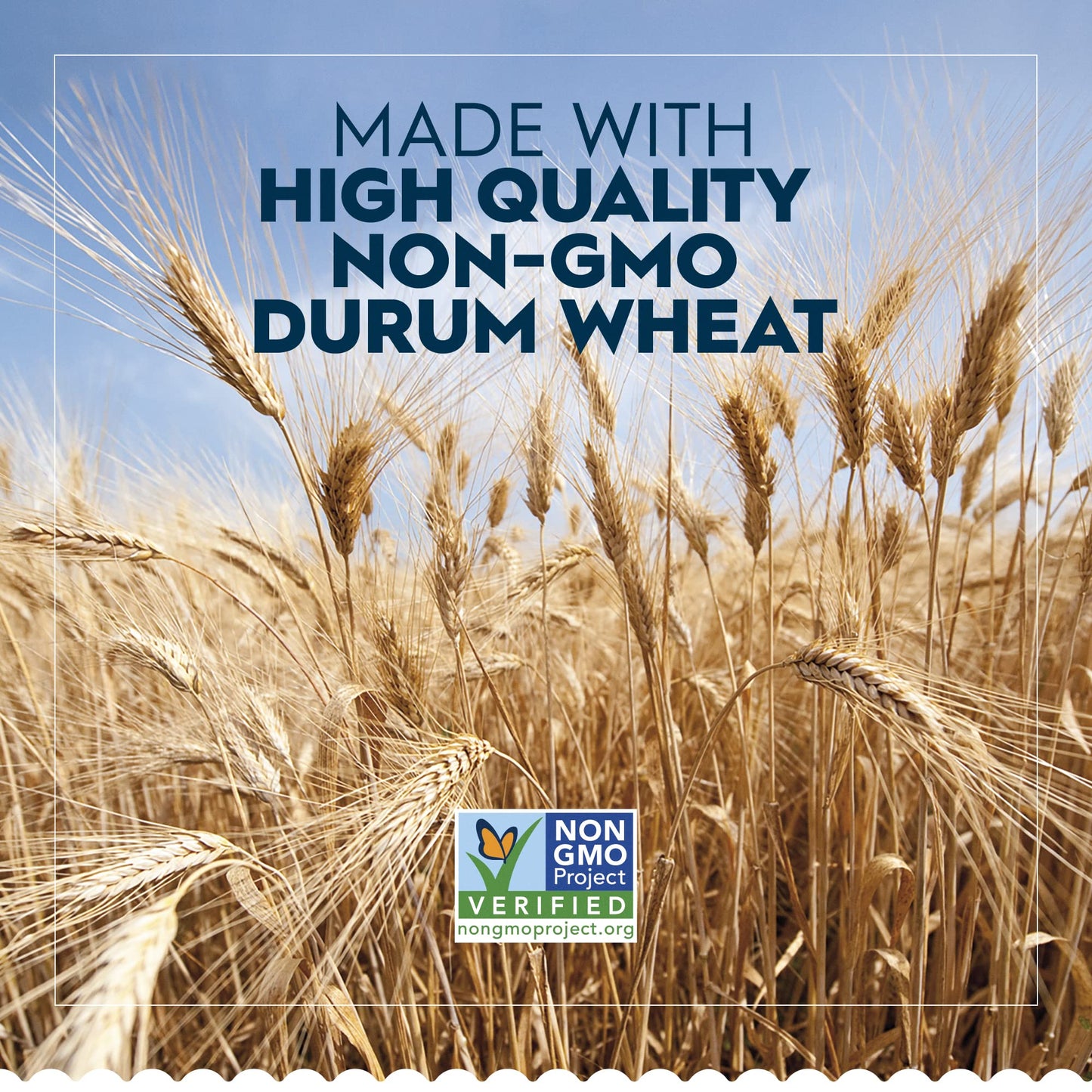 Barilla Pastina Pasta, 12 oz. Box - Non-GMO, Made with Durum Wheat Semolina - Kosher Certified