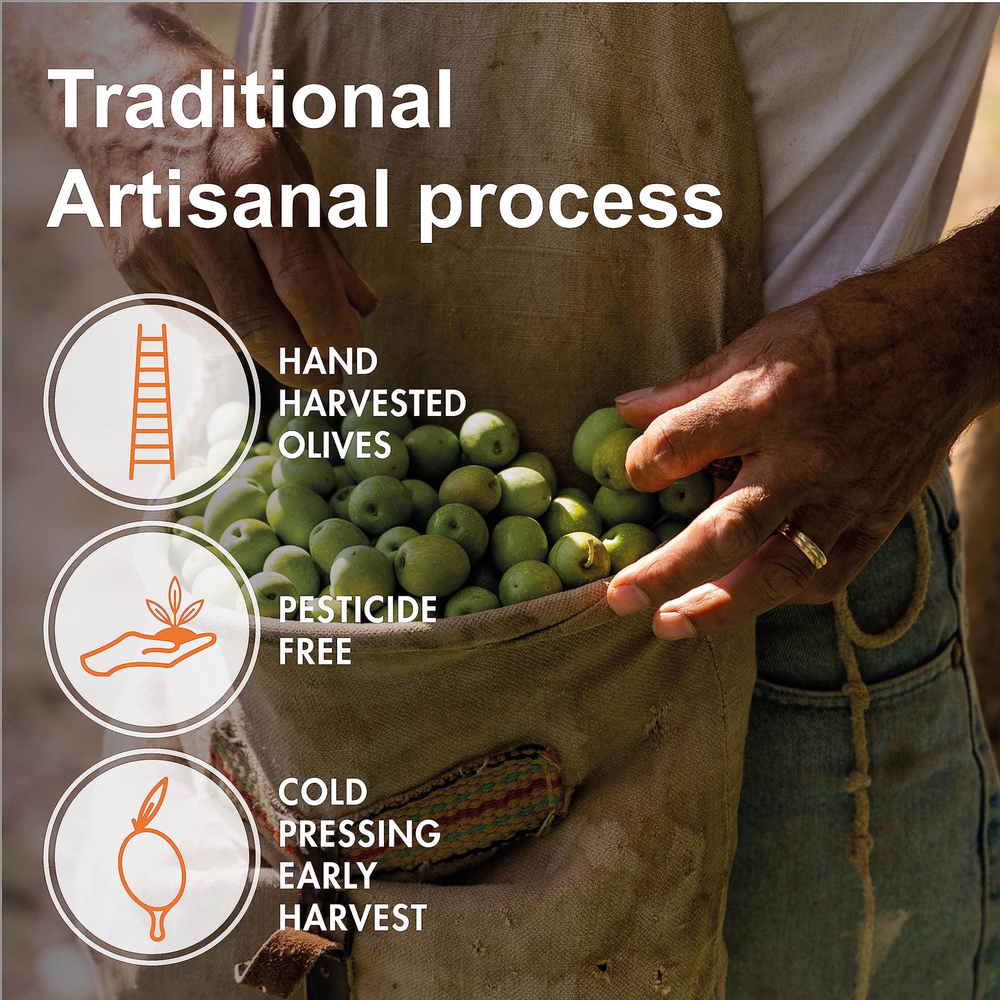 Zahara Extra Virgin Olive Oil From Italy | Sicilian Pure Evoo | Premium Early Harvest Cold Pressed | Multiple Award Winner From