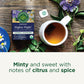 Traditional Medicinals Tea, Organic Nighty Night, Relax & Get A Good Night'S Sleep, Includes Spearmint 96 Tea Bags (6 Pack)