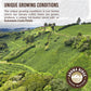 Aroma Ridge Decaf Whole Bean Coffee, Medium Roast, 16oz, Nutty-Sweet Aftertaste, Travel-modelXC191