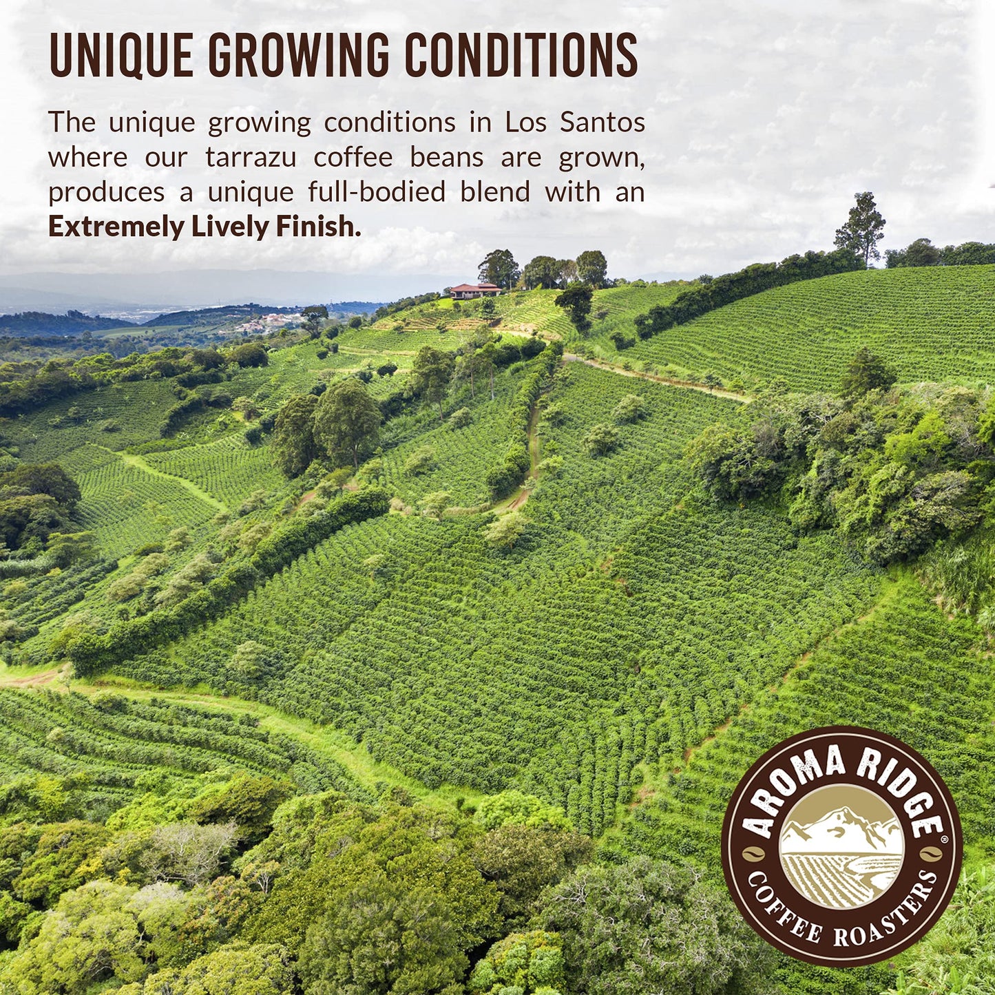 Aroma Ridge Decaf Whole Bean Coffee, Medium Roast, 16oz, Nutty-Sweet Aftertaste, Travel-modelXC191