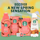 Starbucks Cold Brew Coffee Concentrate, Limited Edition Sweetened Brown Sugar Cinnamon, 100% Arabica, Multi-Serve Bottle (32 Fl Oz)