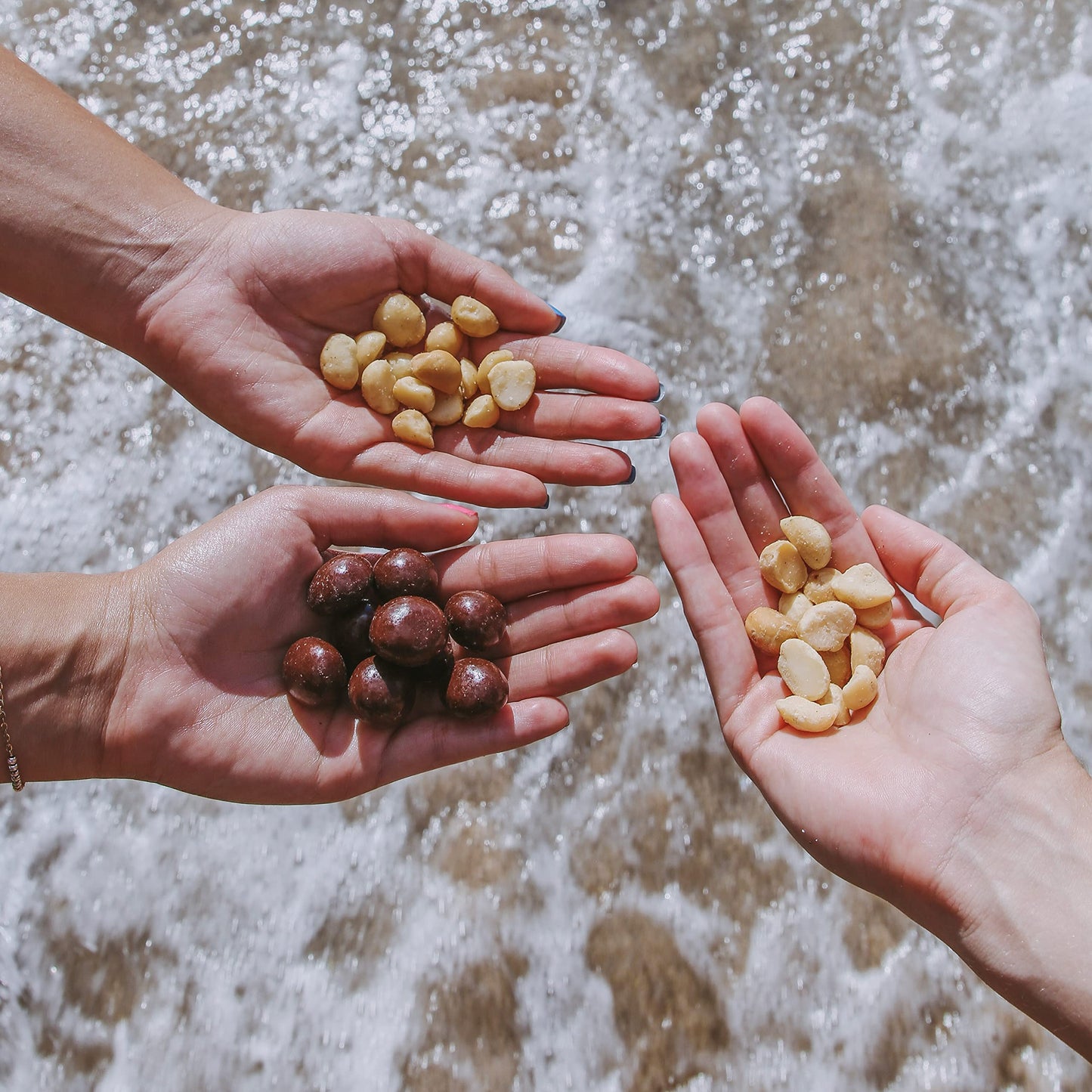 Island Harvest Organic Macadamia Nuts With Sea Salt - 100% Hawaiian Keto Friendly Nuts; All-Natural Non-GMO Macadamia Nuts Salte