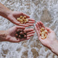 Island Harvest Unsalted Organic Macadamia Nuts - 100% Hawaiian Unsalted Macadamia Nuts are Keto Friendly, All-Natural and Non-GM