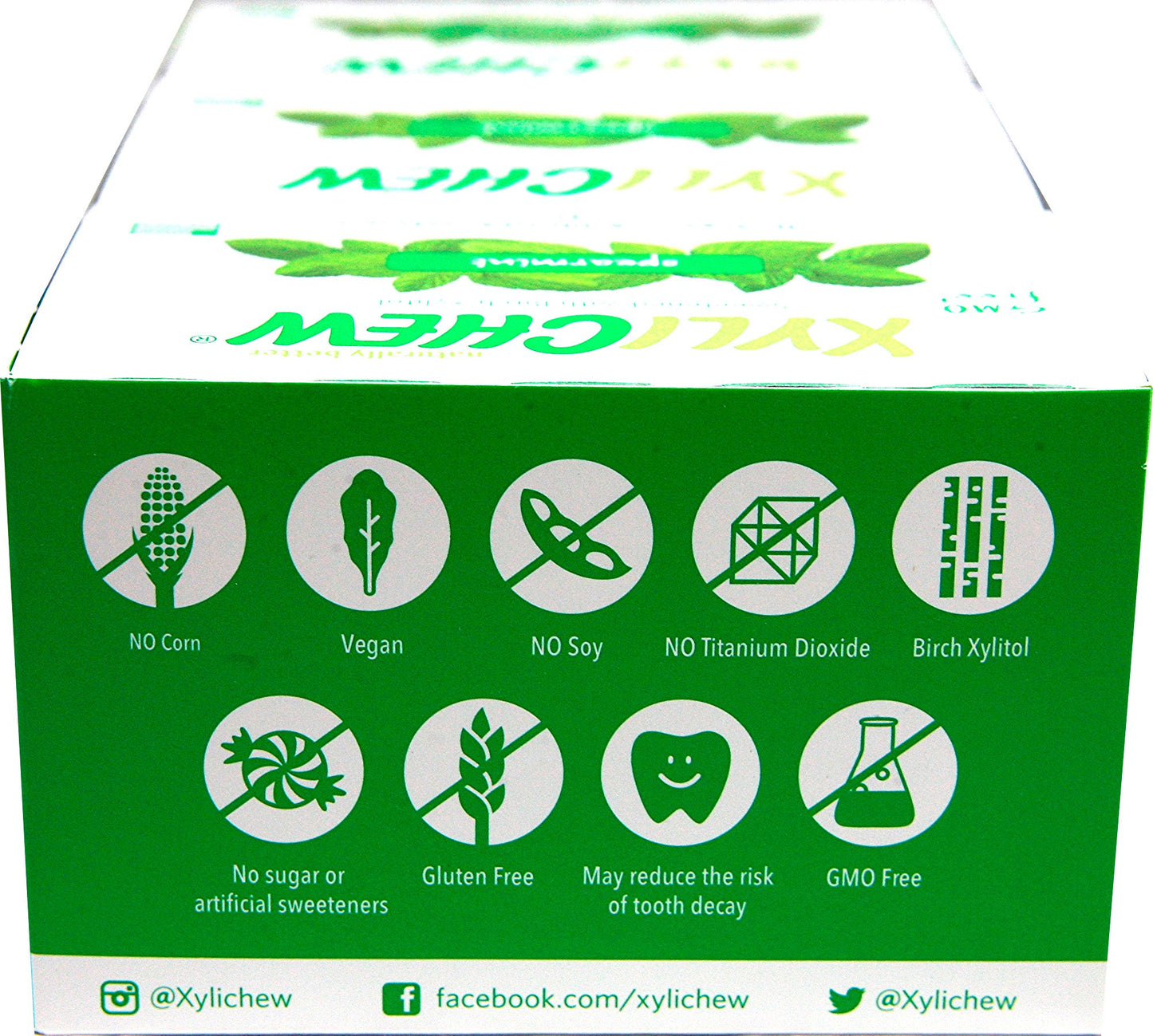 Xylichew Xylichew Spearmint 24 Pack