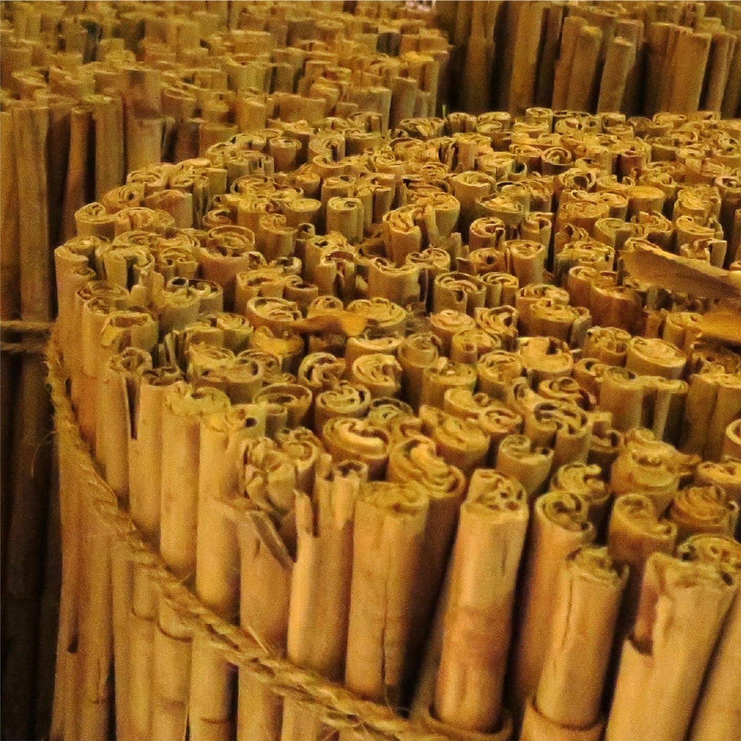 Frontier Co-Op Organic 3 Ceylon Cinnamon Sticks, 1Lb - Bulk Cinnamon Sticks For Crafts, Drinks, Holiday Recipes, Cinnamon Powder And More