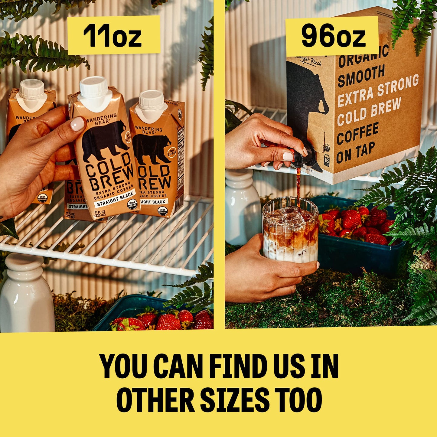 Wandering Bear Organic Caramel Cold Brew Coffee  32 fl oz  6 pack - Extra Strong  Bold  Smooth  Unsweetened  Shelf-Stable  Ready to Drink  Gluten Free  & Vegan  Iced Cold Brewed Coffee Drinks