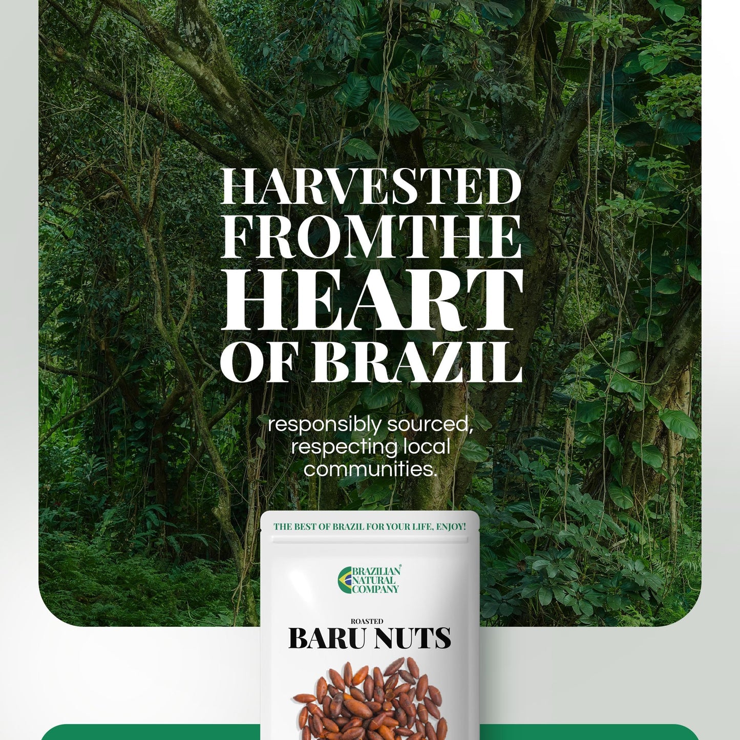 Baru Nuts Kit, 20 oz - Rich in Vitamins and Minerals - Natural Source of Energy and Well-Being - Whole, Plant-Based - No Added G
